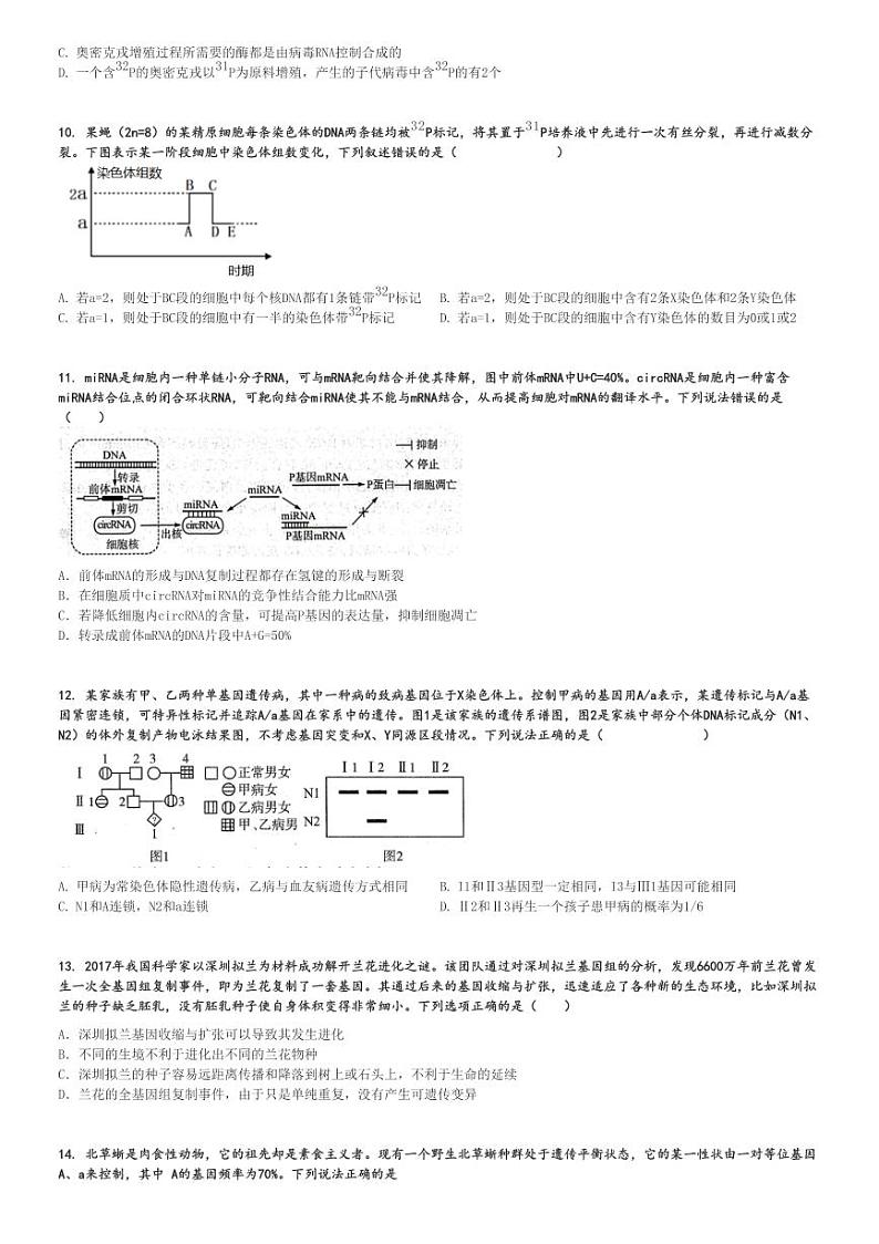 2024～2025学年11月山东泰安泰山区山东省泰安第一中学高三(上)月考生物试卷[原题+解析]第3页