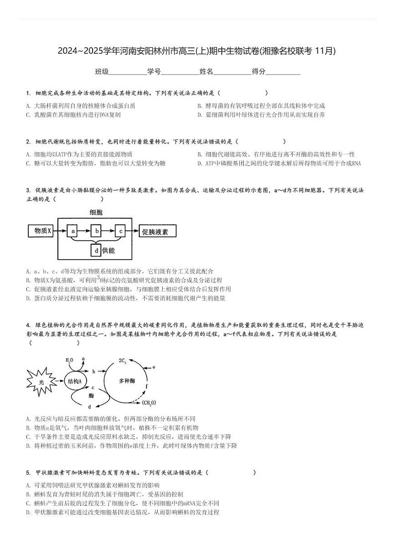 2024～2025学年河南安阳林州市高三(上)期中生物试卷(湘豫名校联考 11月)[原题+解析]第1页