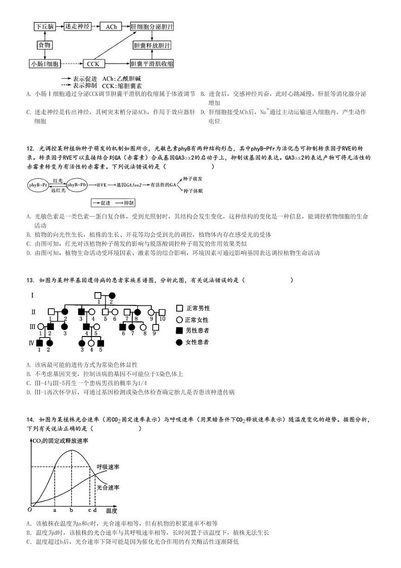 2024～2025学年河南安阳林州市高三(上)期中生物试卷(湘豫名校联考 11月)[原题+解析]第3页