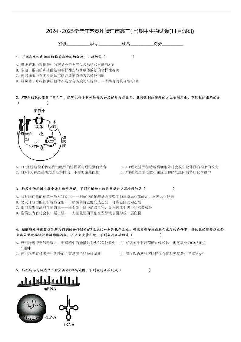 2024～2025学年江苏泰州靖江市高三(上)期中生物试卷(11月调研)[原题+解析]01