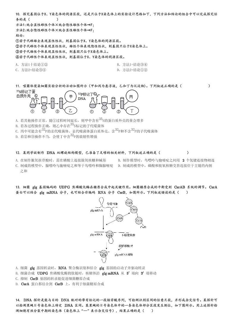 2024～2025学年河南郑州中原区高三(上)期中生物试卷(郑州中学 11月)[原题+解析]第3页