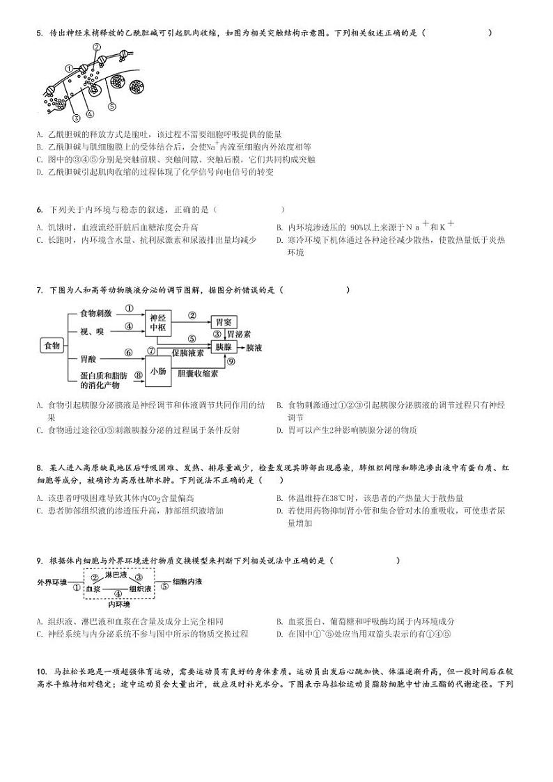 2024～2025学年山东泰安肥城市肥城市慈明学校高二(上)期中生物试卷[原题+解析]第2页