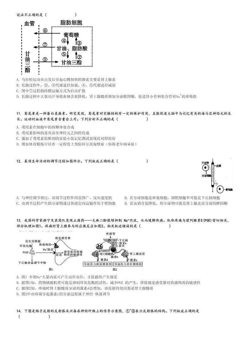 2024～2025学年山东泰安肥城市肥城市慈明学校高二(上)期中生物试卷[原题+解析]第3页