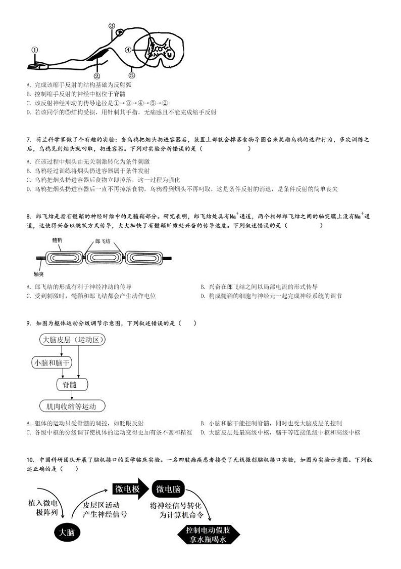 2024～2025学年广东汕头潮阳区潮阳市黄图盛纪念中学高二(上)期中生物试卷[原题+解析]第2页