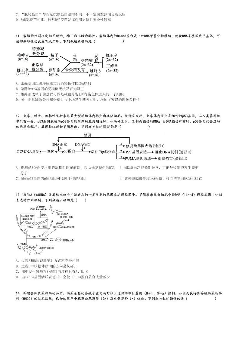 2024～2025学年江西南昌东湖区南昌市第十九中学高三(上)期中生物试卷(11月)[原题+解析]第3页