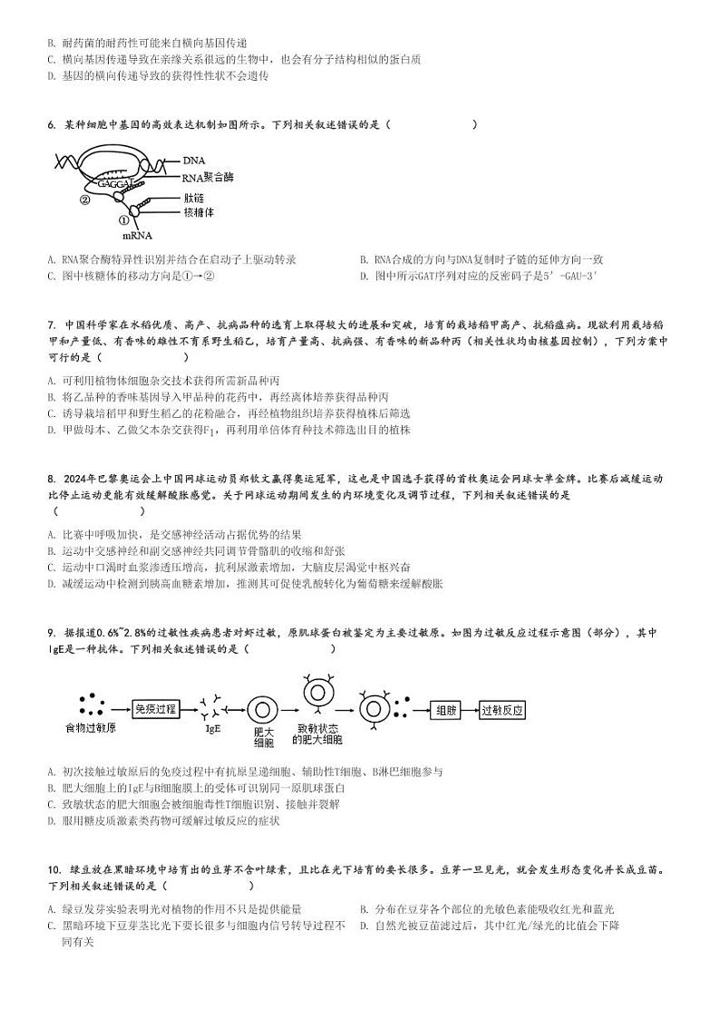 湖北高三上学期期中生物试卷(2025届 高中名校联盟 第二次联合测试)[原题+解析]第2页