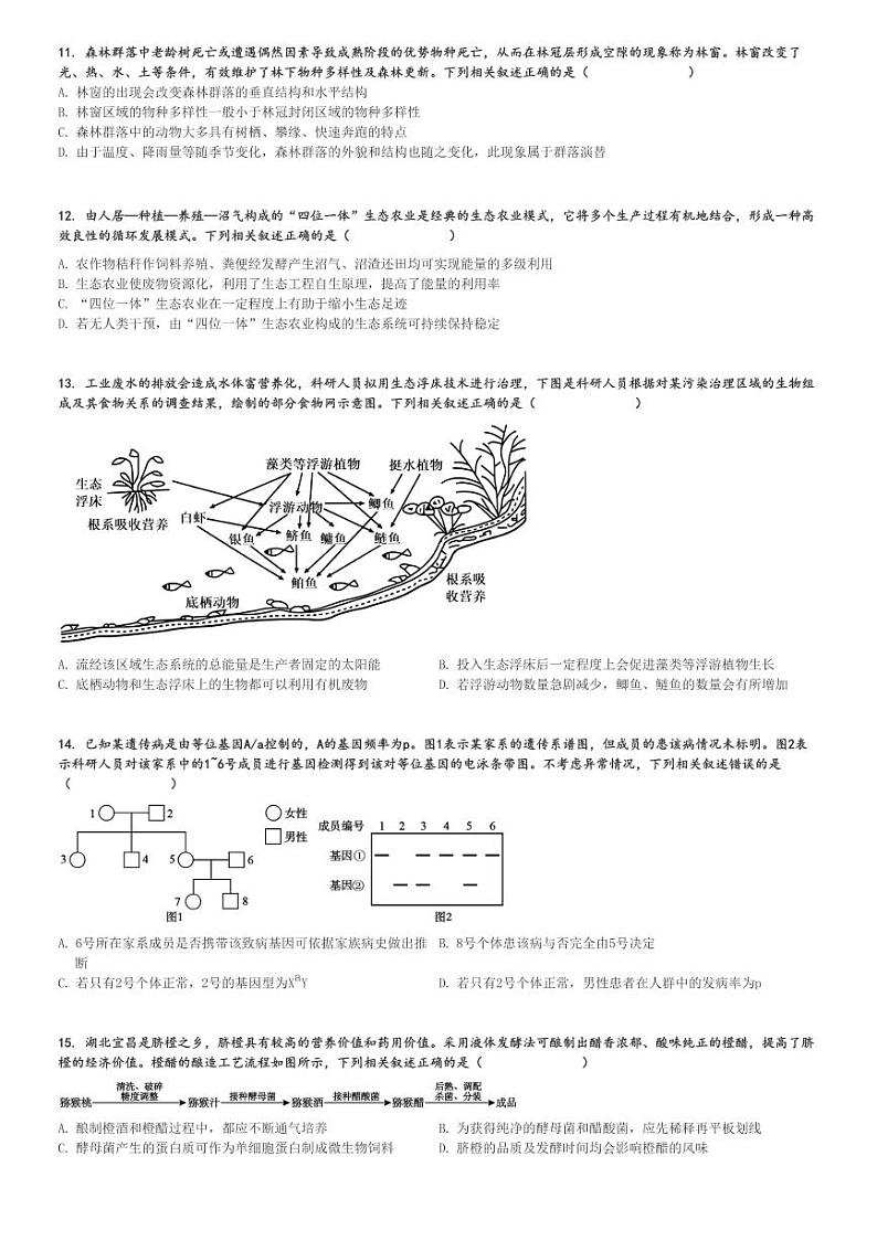 湖北高三上学期期中生物试卷(2025届 高中名校联盟 第二次联合测试)[原题+解析]第3页