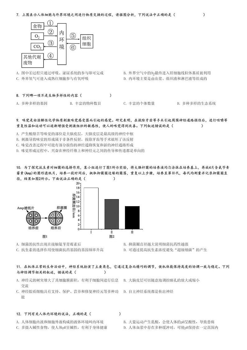 2024～2025学年10月安徽六安裕安区六安市独山中学高二(上)月考生物试卷[原题+解析]02