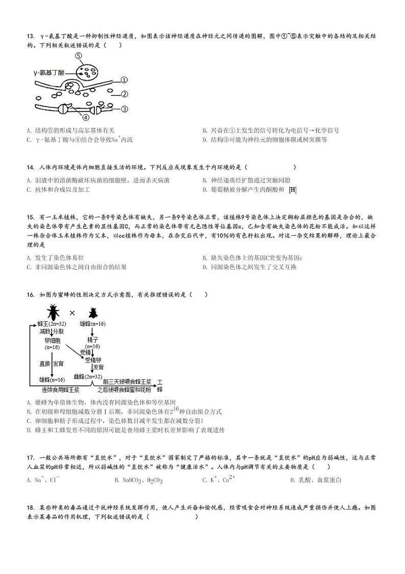 2024～2025学年10月安徽六安裕安区六安市独山中学高二(上)月考生物试卷[原题+解析]03