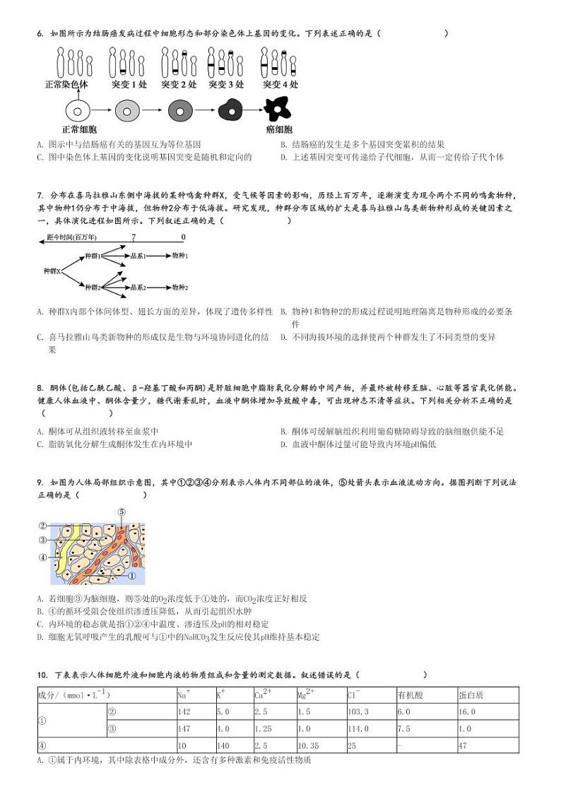 2024～2025学年11月湖北十堰高二(上)月考生物试卷(六县市区一中教联体学校)[原题+解析]第2页