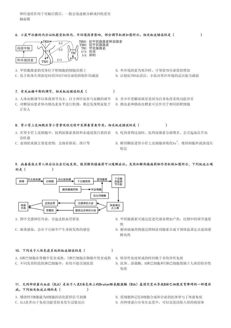2024～2025学年江苏连云港赣榆区高二(上)期中生物试卷(11月)[原题+解析]第2页