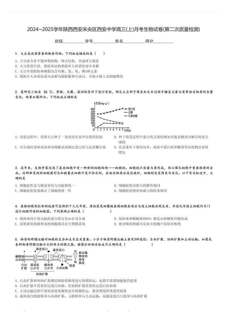 2024～2025学年陕西西安未央区西安中学高三(上)月考生物试卷(第二次质量检测)[原题+解析]第1页