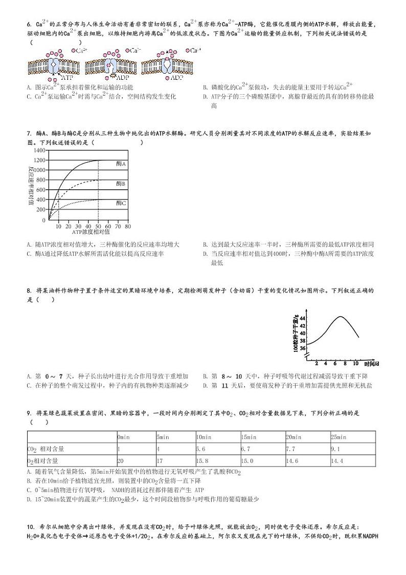 2024～2025学年陕西西安未央区西安中学高三(上)月考生物试卷(第二次质量检测)[原题+解析]第2页