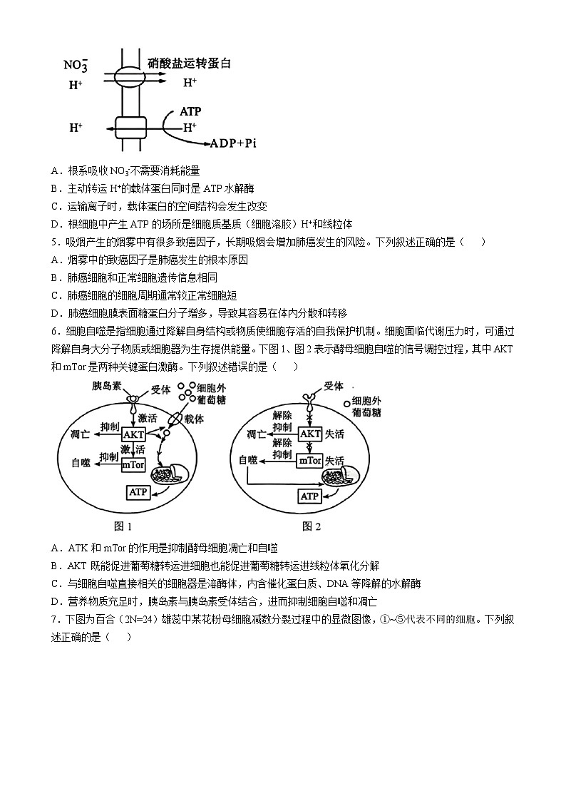 浙江省湖州市A9协作体2024—2025学年高二上学期期中考试生物试题第2页