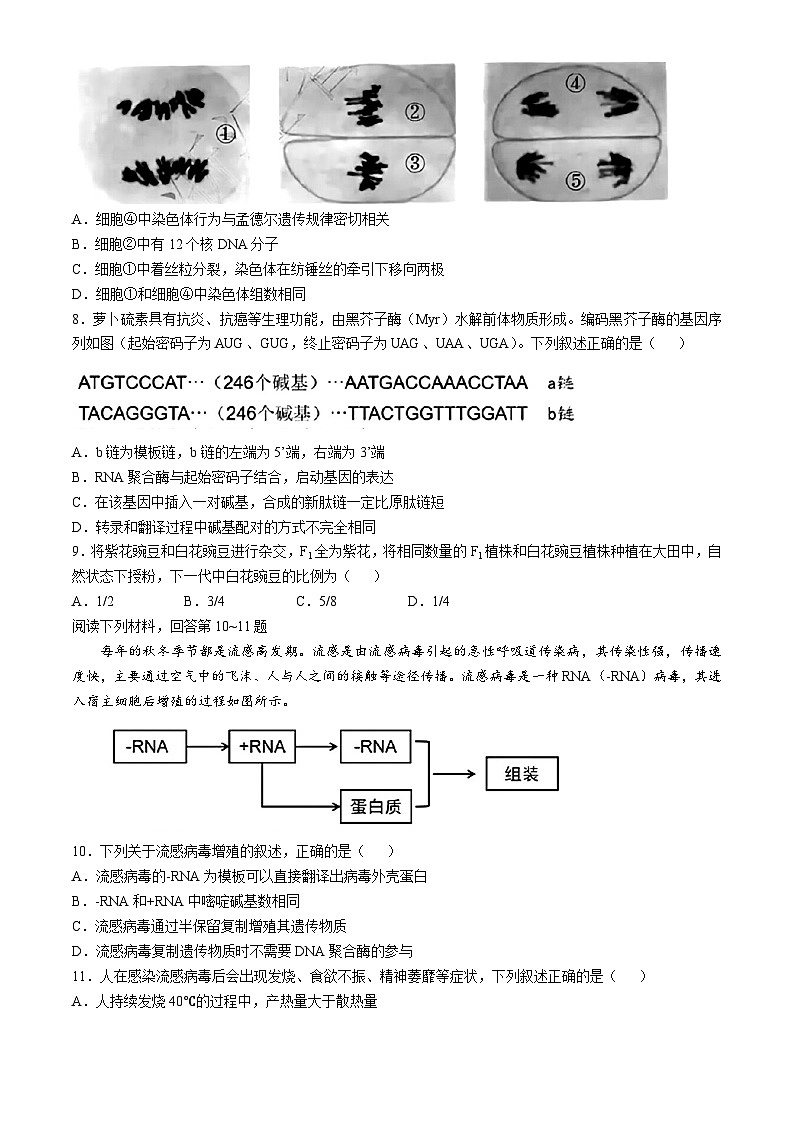 浙江省湖州市A9协作体2024—2025学年高二上学期期中考试生物试题第3页
