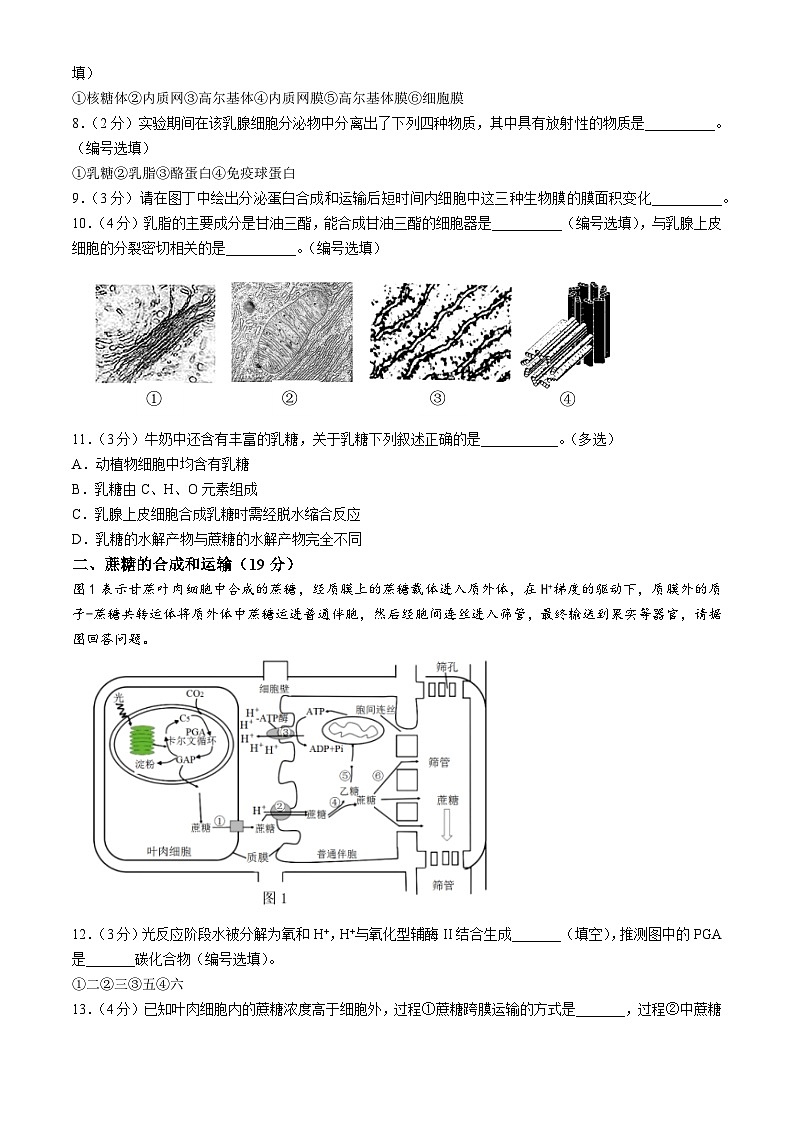 上海师范大学附属虹口中学2024—2025学年高二上学期期中考试生物试题(无答案)第2页