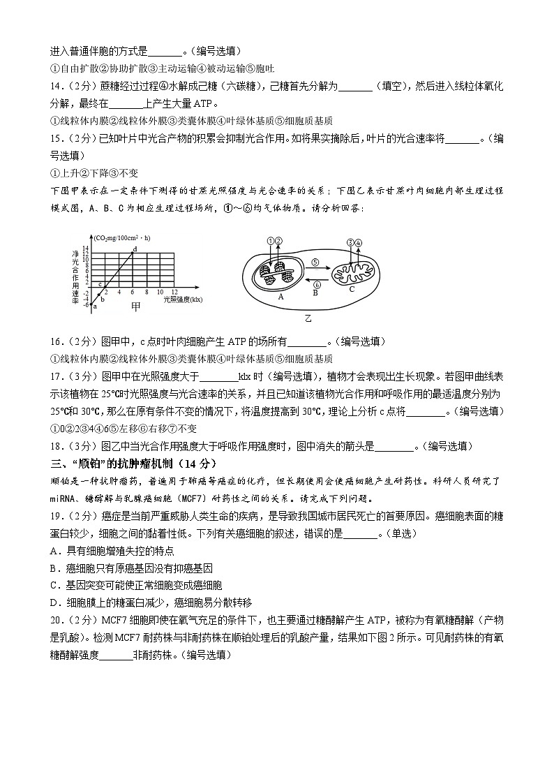 上海师范大学附属虹口中学2024—2025学年高二上学期期中考试生物试题(无答案)第3页