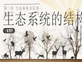 人教版高中生物选必二3.1《生态系统的结构》课件
