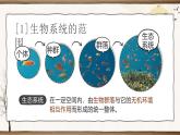 人教版高中生物选必二3.1《生态系统的结构》课件