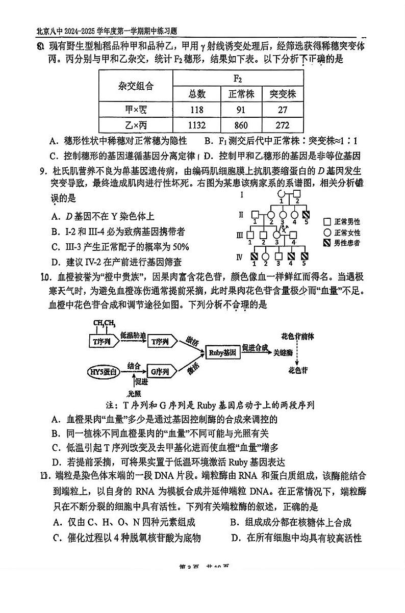 北京市第八中学2024-2025学年高三上学期期中生物试题第3页