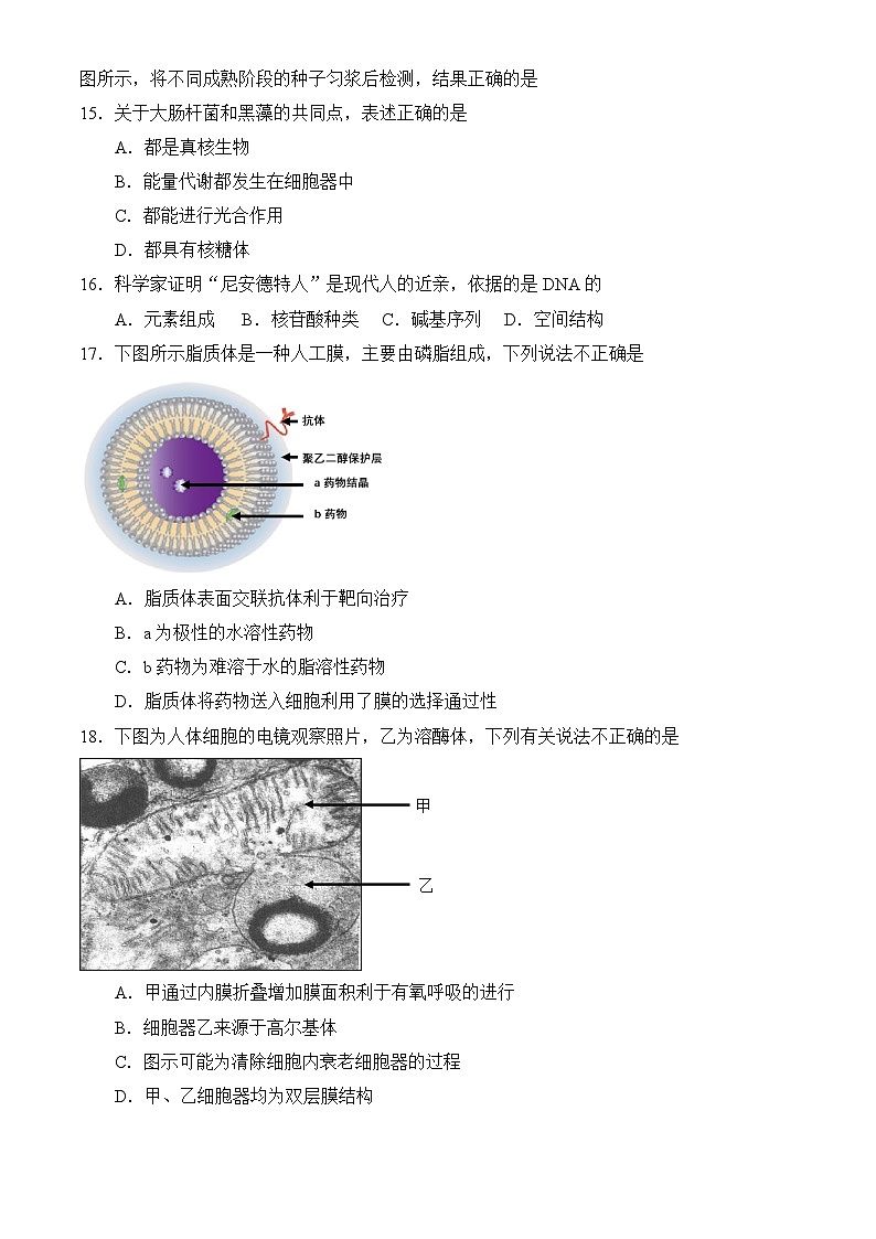 北京市第四中学2024-2025学年高一上学期期中考试生物试题第3页