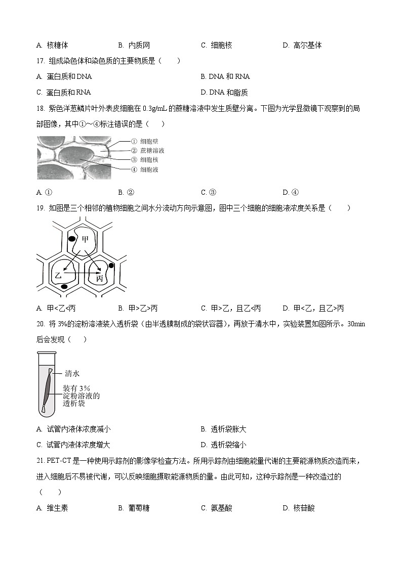 北京市第八十中学2024-2025学年高一上学期期中考试生物试题（原卷版）03