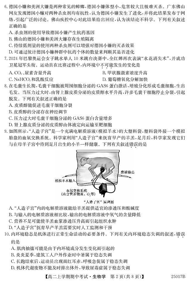 广东省深圳市深圳盟校2024-2025学年高二上学期11月期中考试生物试题第2页