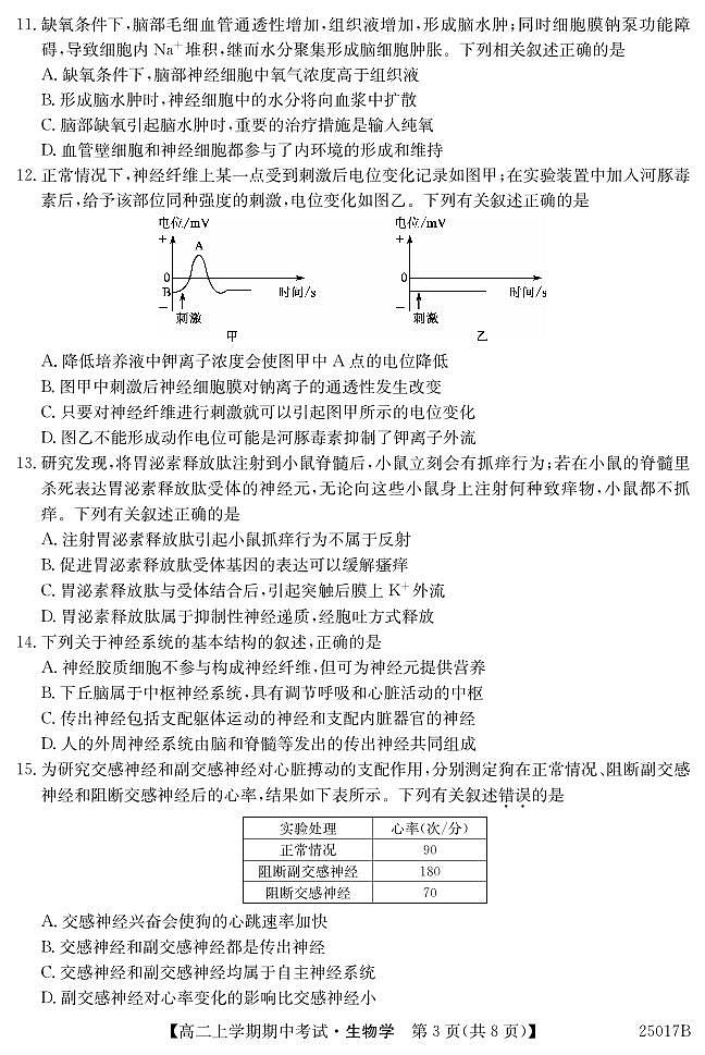广东省深圳市深圳盟校2024-2025学年高二上学期11月期中考试生物试题第3页