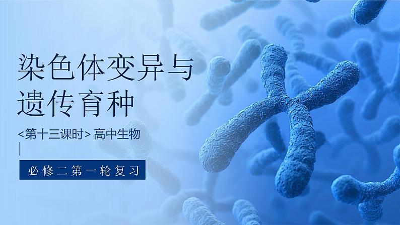 人教版高考生物一轮复习必修二第13课时《染色体变异与遗传育种》课件01