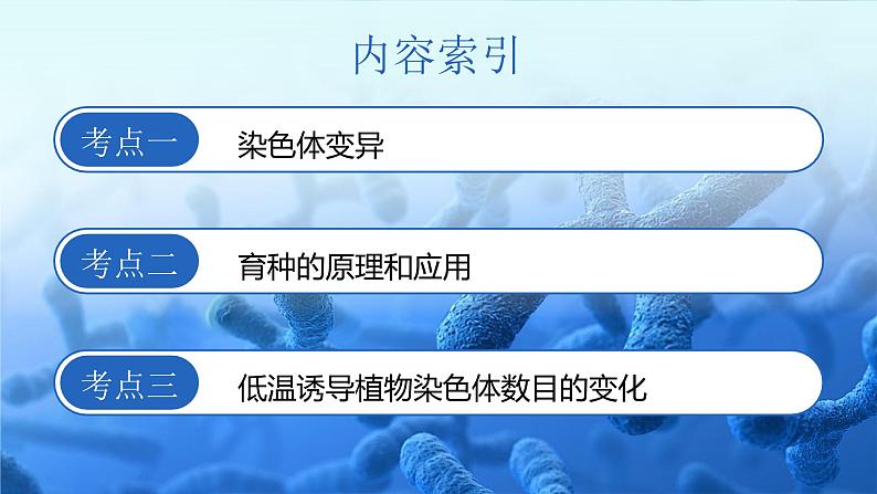 人教版高考生物一轮复习必修二第13课时《染色体变异与遗传育种》课件03