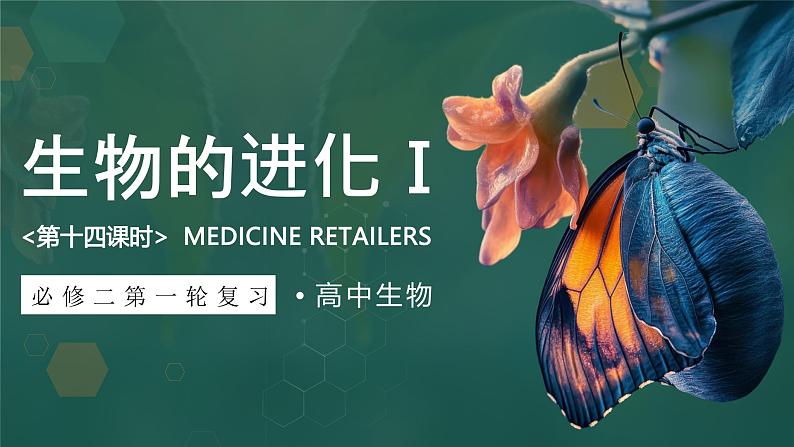 人教版高考生物一轮复习必修二第14课时《生物的进化Ⅰ》课件01