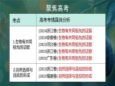 人教版高考生物一轮复习必修二第14课时《生物的进化Ⅰ》课件