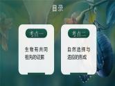 人教版高考生物一轮复习必修二第14课时《生物的进化Ⅰ》课件