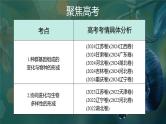 人教版高考生物一轮复习必修二第15课时《生物的进化Ⅱ》课件