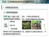 人教版高考生物一轮复习必修二第15课时《生物的进化Ⅱ》课件