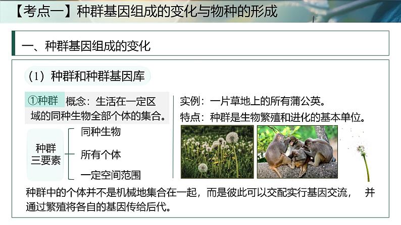 第十五课时《生物的进化Ⅱ》（课件版权归属“一起课件”，只供个人使用，请勿私自传播，违者必究）第4页