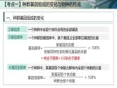 人教版高考生物一轮复习必修二第15课时《生物的进化Ⅱ》课件