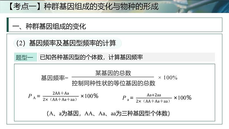 第十五课时《生物的进化Ⅱ》（课件版权归属“一起课件”，只供个人使用，请勿私自传播，违者必究）第6页