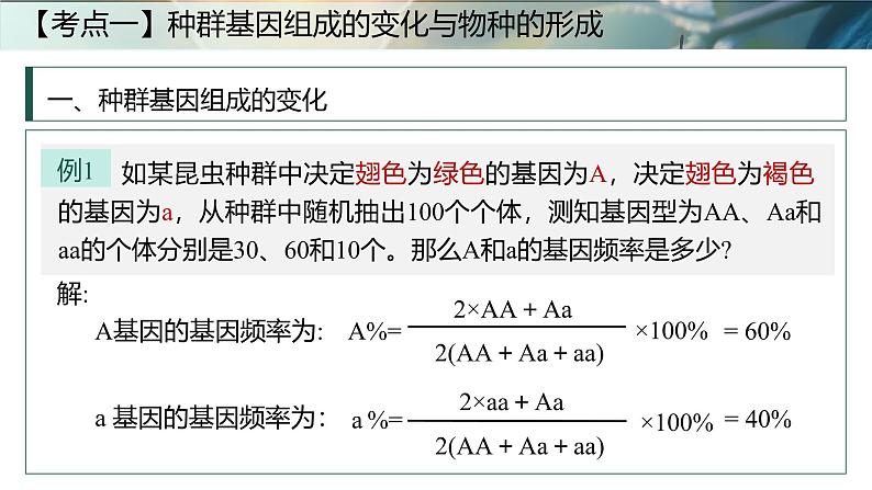 第十五课时《生物的进化Ⅱ》（课件版权归属“一起课件”，只供个人使用，请勿私自传播，违者必究）第7页