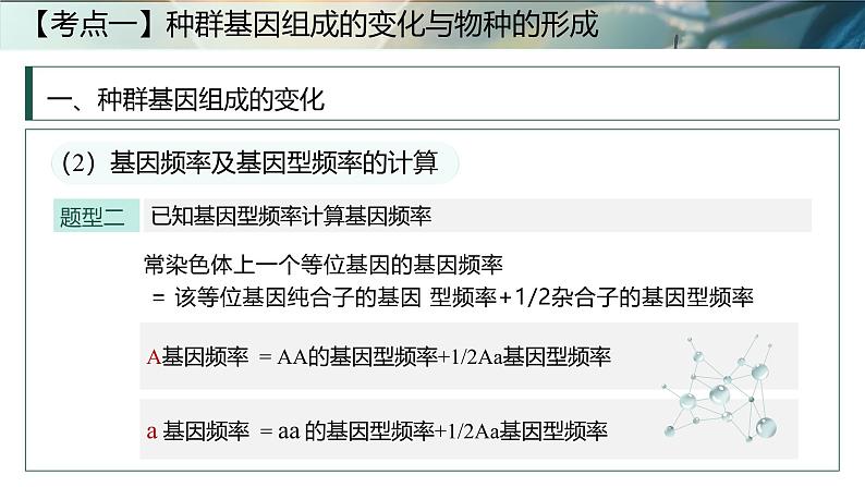 第十五课时《生物的进化Ⅱ》（课件版权归属“一起课件”，只供个人使用，请勿私自传播，违者必究）第8页