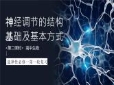 人教版高考生物一轮复习选择性必修一第2课时《神经调节的结构基础及基本方式》课件