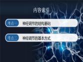 人教版高考生物一轮复习选择性必修一第2课时《神经调节的结构基础及基本方式》课件