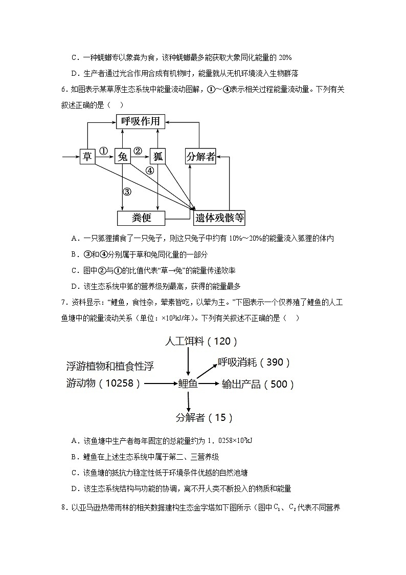 3.2生态系统的能量流动第2页