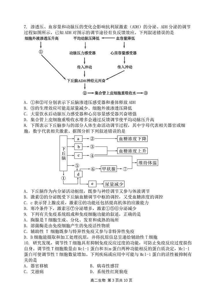 五校联考高二生物期中试题第3页