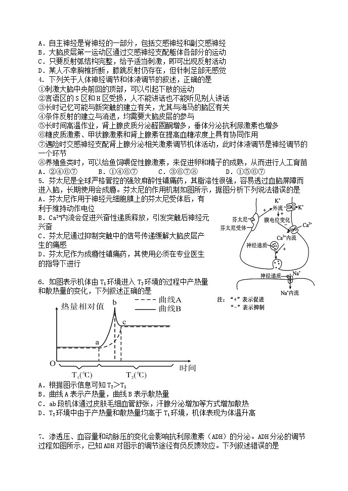 五校联考高二生物期中试题第2页