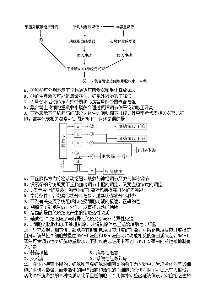 五校联考高二生物期中试题第3页