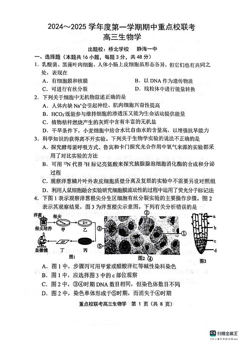 天津市五区县重点校联考2024-2025学年高三上学期期中考试生物试题01