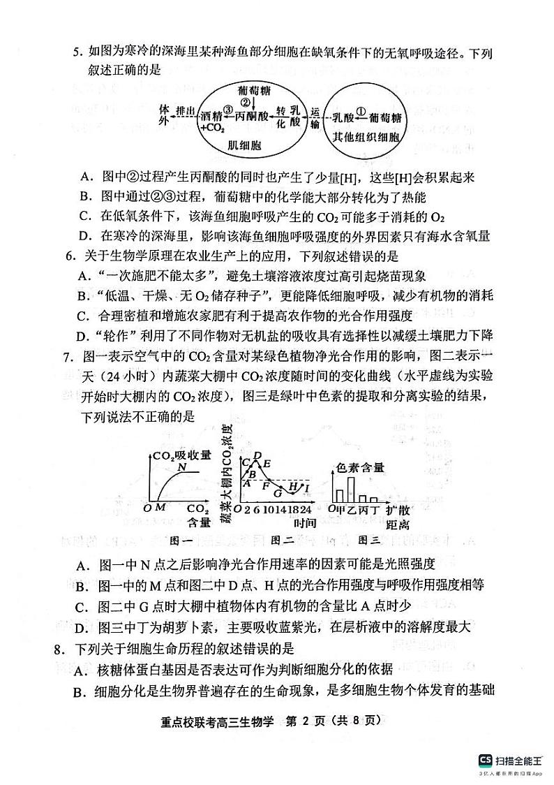 天津市五区县重点校联考2024-2025学年高三上学期期中考试生物试题02