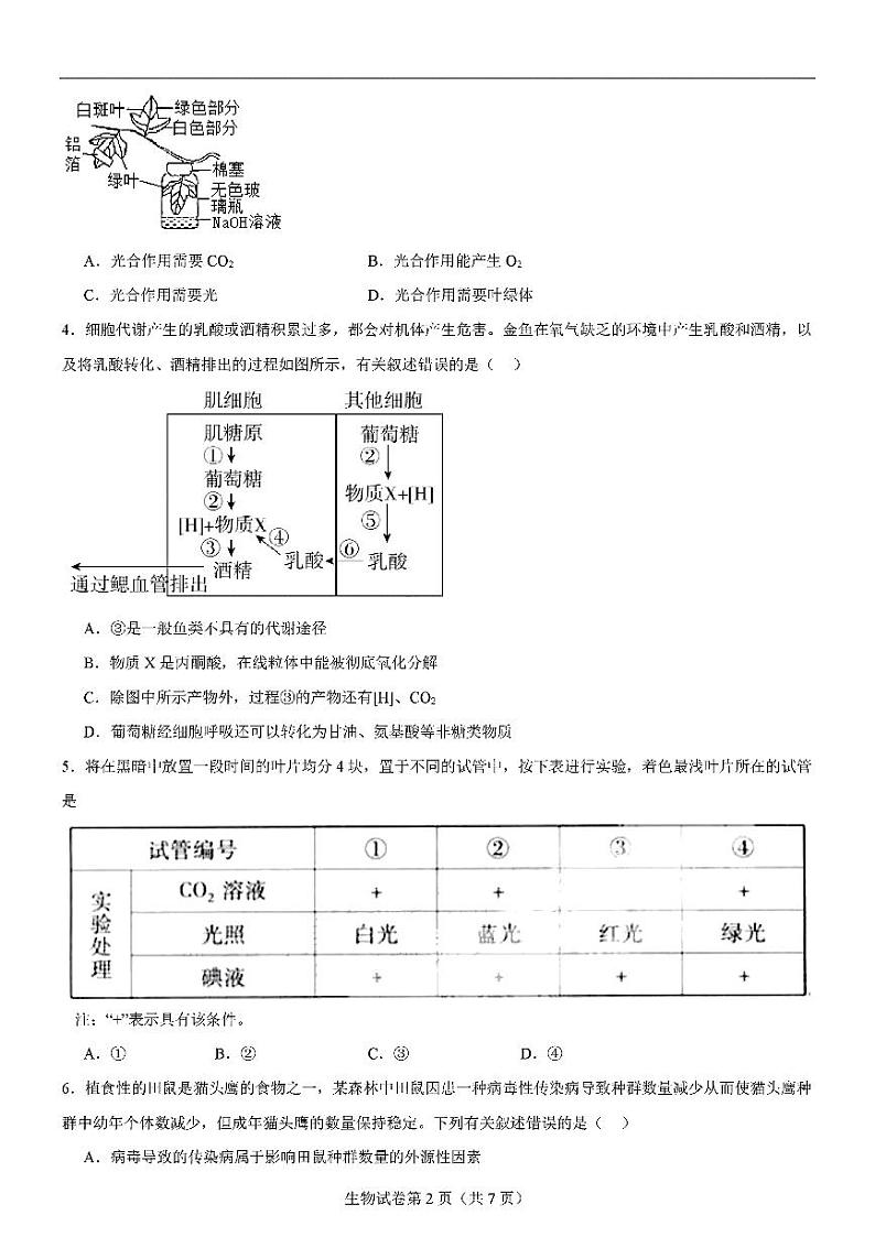 2025届八省联考高三高考模拟测试二-生物试题+答案第2页