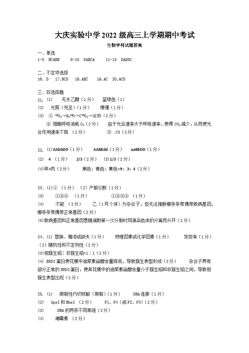 参考答案第1页